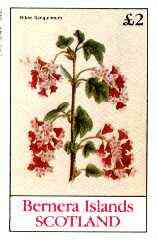 Bernera 1982 Flowers #20 (Ribes Sanguineum) imperf deluxe sheet (Â£2 value) unmounted mint, stamps on flowers