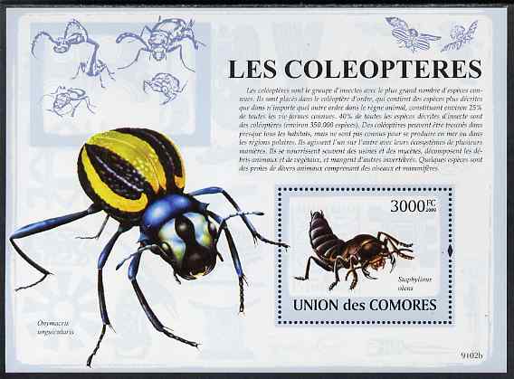 Comoro Islands 2009 Insects perf s/sheet unmounted mint, stamps on insects