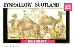 Eynhallow 1982 Animals #10 (Camels) imperf deluxe sheet (£2 value) unmounted mint, stamps on animals, stamps on camels
