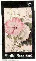 Staffa 1982 Flowers #49 (Ivy Leaved Bell Flower) imperf souvenir sheet (£1 value) unmounted mint, stamps on flowers