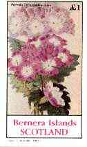Bernera 1982 Flowers #22 (Primula) imperf souvenir sheet (£1 value) unmounted mint, stamps on flowers