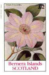 Bernera 1982 Flowers #22 (Clematis) imperf deluxe sheet (Â£2 value) unmounted mint, stamps on , stamps on  stamps on flowers