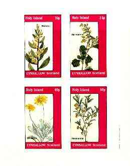 Eynhallow 1982 Flowers #28 (Mimosa, Hermannia x 2 & Othonna) imperf set of 4 values unmounted mint, stamps on flowers