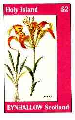 Eynhallow 1982 Flowers #28 (Trollius) imperf deluxe sheet (£2 value) unmounted mint, stamps on flowers