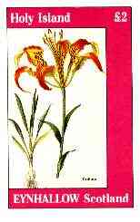 Eynhallow 1982 Flowers #28 (Trollius) imperf deluxe sheet (Â£2 value) unmounted mint, stamps on , stamps on  stamps on flowers