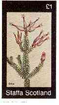 Staffa 1982 Flowers #50 (Erica) imperf  souvenir sheet (£1 value) unmounted mint, stamps on flowers