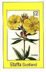 Staffa 1982 Flowers #51 (Oenothera) imperf deluxe sheet (£2 value) unmounted mint, stamps on flowers