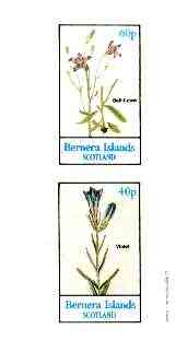 Bernera 1982 Flowers #23 (Violet & Bell Flower) imperf  set of 2 values (40p & 60p) unmounted mint, stamps on flowers