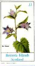 Bernera 1982 Flowers #23 (Bell Flower) imperf souvenir sheet (£1 value) unmounted mint, stamps on flowers