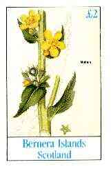 Bernera 1982 Flowers #23 (Mullein) imperf deluxe sheet (Â£2 value) unmounted mint, stamps on , stamps on  stamps on flowers