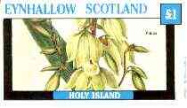 Eynhallow 1982 Flowers #29 (Yucca) imperf souvenir sheet (£1 value) unmounted mint, stamps on flowers