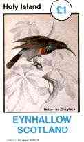Eynhallow 1982 Sunbirds (Nectarinia chalybeia) imperf souvenir sheet (Â£1 value) unmounted mint, stamps on , stamps on  stamps on birds, stamps on sunbirds