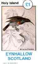 Eynhallow 1982 Sunbirds (Nectarinia chalybeia) imperf souvenir sheet (£1 value) unmounted mint, stamps on birds, stamps on sunbirds