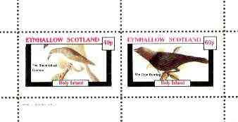 Eynhallow 1982 Birds #26 (Cuckoo & Bunting) perf set of 2 values unmounted mint, stamps on birds