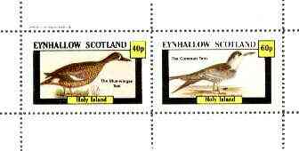 Eynhallow 1982 Birds #27 (Teal & Tern) perf set of 2 values unmounted mint, stamps on , stamps on  stamps on birds, stamps on ducks