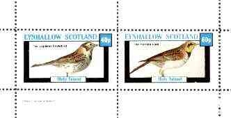 Eynhallow 1982 Birds #28 (Snowbird & Lark) perf set of 2 values unmounted mint, stamps on birds