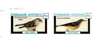 Eynhallow 1982 Birds #30 (Kinglet & Warbler) imperf set of 2 values unmounted mint, stamps on birds