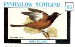 Eynhallow 1982 Birds #30 (Orchard Oriole) imperf deluxe sheet (£2 value) unmounted mint, stamps on birds   