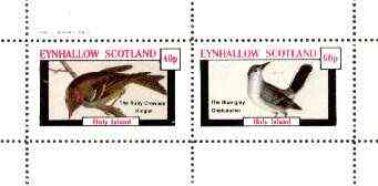 Eynhallow 1982 Birds #31 (Kinglet & Gnatcatcher) perf set of 2 values unmounted mint, stamps on , stamps on  stamps on birds   