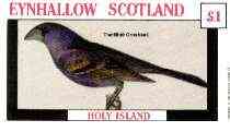 Eynhallow 1982 Birds #31 (Blue Grosbeak) imperf souvenir sheet (Â£1 value) unmounted mint, stamps on birds