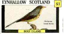 Eynhallow 1982 Birds #33 (Spotted Canada Warbler) imperf souvenir sheet (£1 value) unmounted mint, stamps on birds   