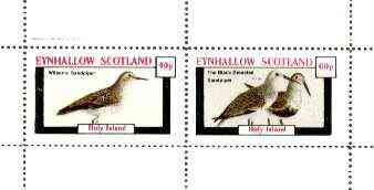 Eynhallow 1982 Birds #34 (Sandpipers) perf set of 2 values unmounted mint, stamps on birds