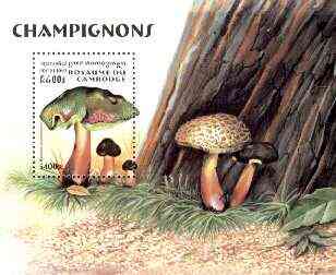Cambodia 1997 Mushrooms m/sheet unmounted mint SG MS 1701, stamps on fungi