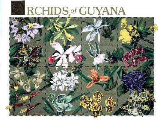Guyana 1990 Orchids of Guyana sheetlet #04 containing set of 16 values unmounted mint, Sc #2370, stamps on flowers, stamps on orchids