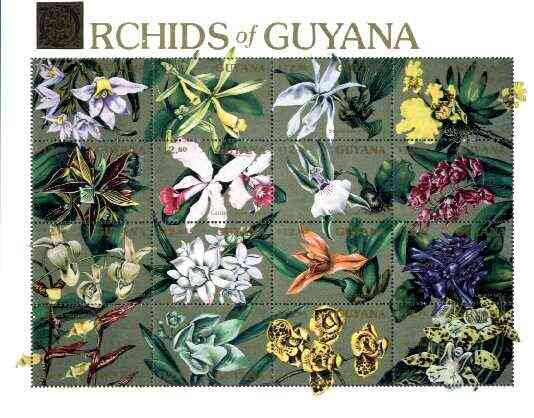 Guyana 1990 Orchids of Guyana sheetlet #04 containing set of 16 values unmounted mint, Sc #2370, stamps on , stamps on  stamps on flowers, stamps on orchids