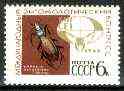 Russia 1968 Entomological Congress 6k Ground Beetle (from  International Congresses set) unmounted mint, SG 3556*, stamps on insects, stamps on beetles