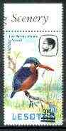 Lesotho 1986-88 Malachite Kingfisher Provisional 35s on 25s (1982 issue) unmounted mint SG 720*, stamps on birds, stamps on kingfisher