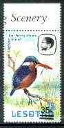 Lesotho 1986-88 Malachite Kingfisher Provisional 35s on 25s (1982 issue) unmounted mint SG 720*, stamps on , stamps on  stamps on birds, stamps on kingfisher