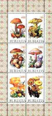 Buriatia Republic 1998 Fungi #01 perf sheetlet containing complete set of 6 values unmounted mint, stamps on , stamps on  stamps on fungi