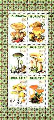 Buriatia Republic 1998 Fungi #03 perf sheetlet containing complete set of 6 values unmounted mint, stamps on , stamps on  stamps on fungi