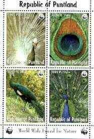 Puntland Republic 1998 WWF - Birds (Peacock) sheetlet containing set of 4 unmounted mint, stamps on wwf, stamps on birds, stamps on peacock, stamps on  wwf , stamps on 