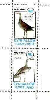 Eynhallow 1982 Birds #37 (Gallinule & Willet) perf set of 2 values unmounted mint, stamps on birds, stamps on gallinule, stamps on willet