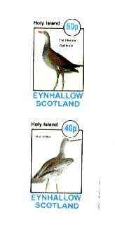 Eynhallow 1982 Birds #37 (Gallinule & Willet) imperf set of 2 values unmounted mint, stamps on birds, stamps on gallinule, stamps on willet
