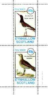 Eynhallow 1982 Birds #38 (Oyster Catcher & Sandpiper) perf set of 2 values unmounted mint, stamps on , stamps on  stamps on birds, stamps on oyster catcher, stamps on sandpiper