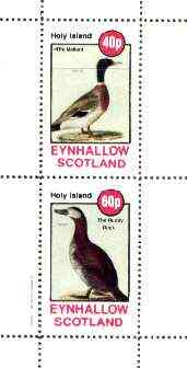 Eynhallow 1982 Birds #39 (Mallard & Ruddy Duck) perf set of 2 values unmounted mint, stamps on birds, stamps on mallard, stamps on ducks