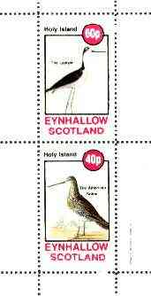 Eynhallow 1982 Birds #40 (Lawyer Bird & Snipe) perf set of 2 values unmounted mint, stamps on birds, stamps on snipe