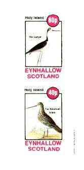 Eynhallow 1982 Birds #40 (Lawyer Bird & Snipe) imperf set of 2 values unmounted mint, stamps on birds, stamps on snipe