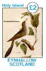 Eynhallow 1982 Birds #13 (Yellow-billed Cuckoo) imperf deluxe sheet (£2 value) unmounted mint, stamps on birds, stamps on cuckoo