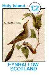 Eynhallow 1982 Birds #13 (Yellow-billed Cuckoo) imperf deluxe sheet (Â£2 value) unmounted mint, stamps on , stamps on  stamps on birds, stamps on cuckoo