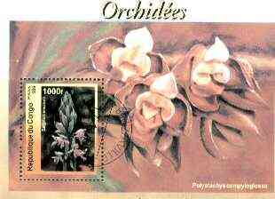 Congo 1999 Orchids perf m/sheet fine cto used, stamps on flowers, stamps on orchids