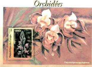 Congo 1999 Orchids perf m/sheet fine cto used, stamps on , stamps on  stamps on flowers, stamps on orchids