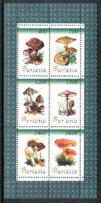 Buriatia Republic 1998 Fungi #04 perf sheetlet containing complete set of 6 values unmounted mint, stamps on , stamps on  stamps on fungi