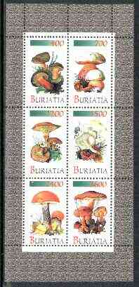 Buriatia Republic 1998 Fungi #05 perf sheetlet containing complete set of 6 values unmounted mint, stamps on , stamps on  stamps on fungi