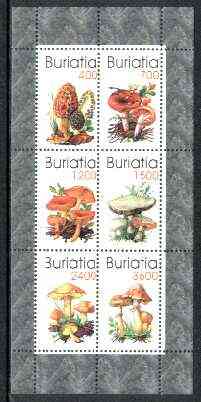 Buriatia Republic 1998 Fungi #06 perf sheetlet containing complete set of 6 values unmounted mint, stamps on , stamps on  stamps on fungi