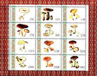 Buriatia Republic 1998 Fungi #08 perf sheetlet containing complete set of 12 values unmounted mint, stamps on fungi