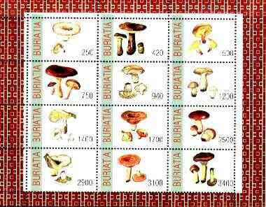 Buriatia Republic 1998 Fungi #08 perf sheetlet containing complete set of 12 values unmounted mint, stamps on , stamps on  stamps on fungi